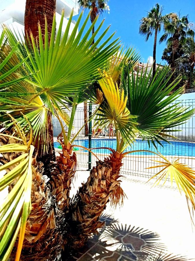 Parque Cattleya Tenerife Playa de las Américas Extérieur photo